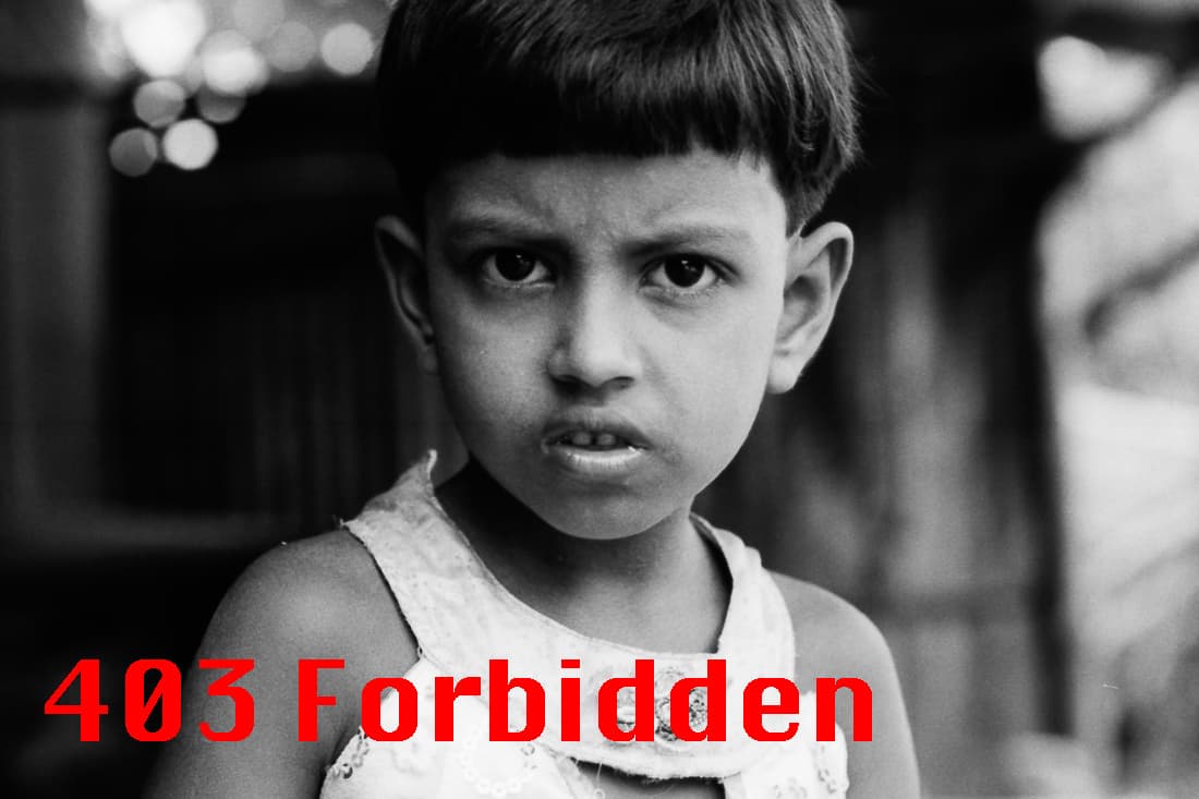 403 Forbidden
