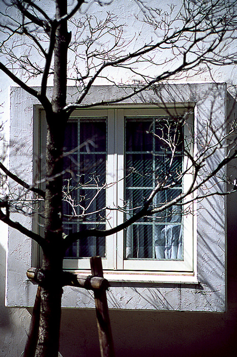 Bay window