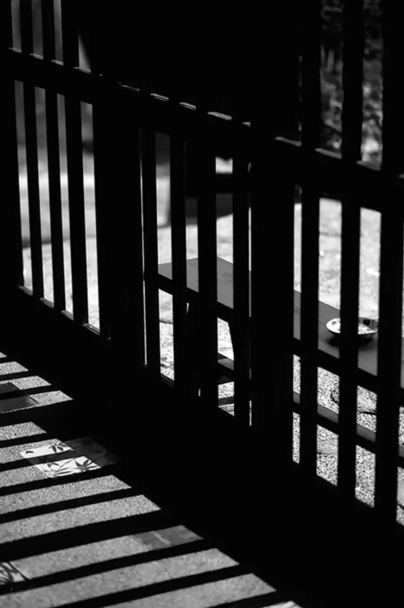 sunlight from window