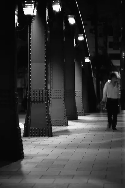 柳橋の上の人影
