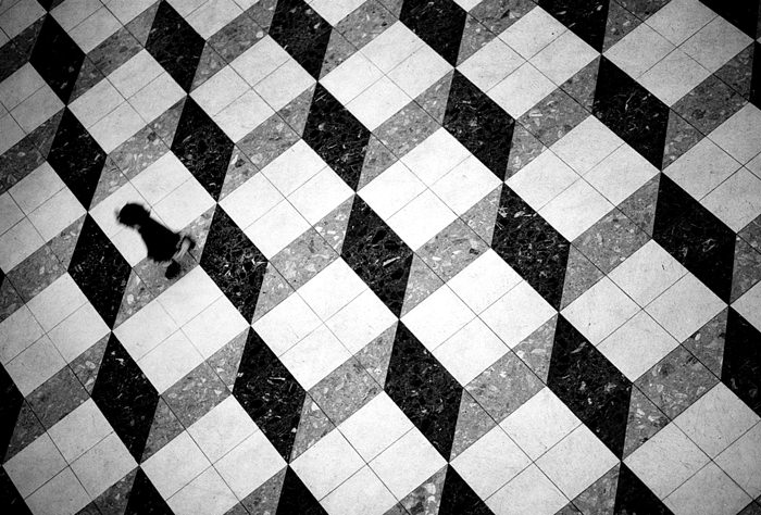 kid in the pattern