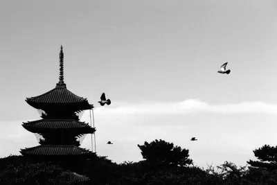 Pagoda and birds