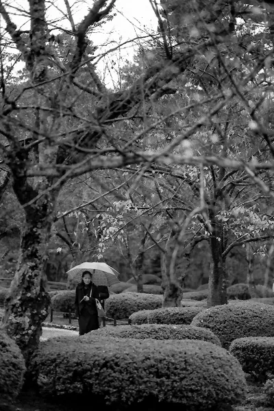 雨の中を歩く女性