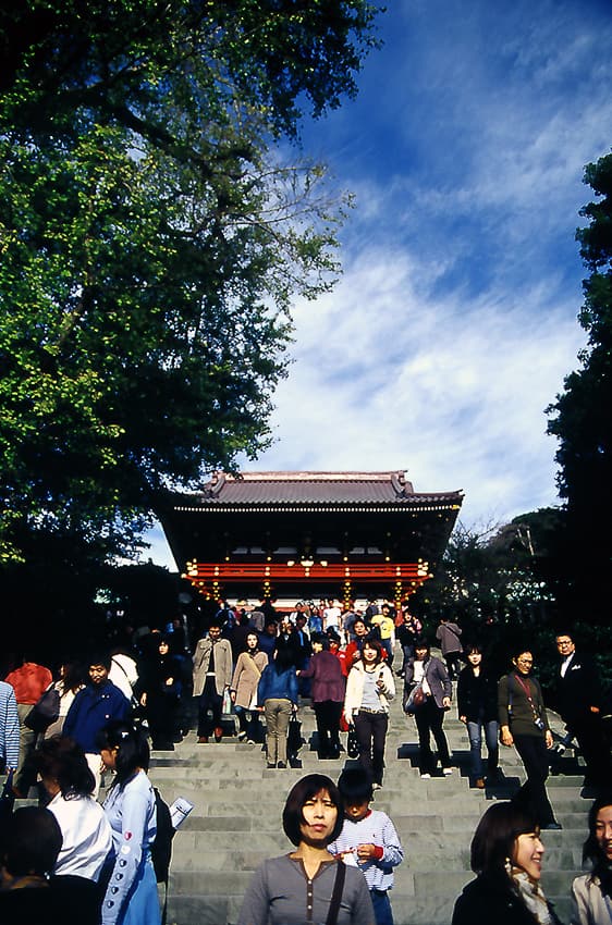 神奈川 鶴岡八幡宮の急な階段 写真とエッセイ By オザワテツ