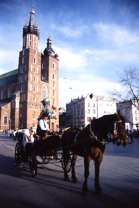 聖マリア教会と馬車