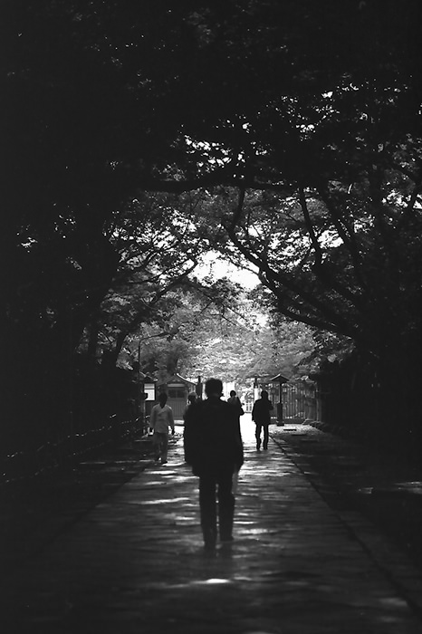 Silhouette in the midst of road