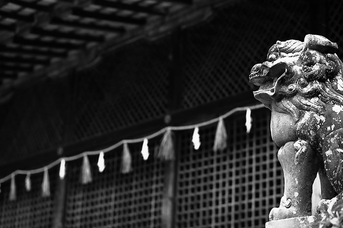 guardian dog in Ujigami Jinja
