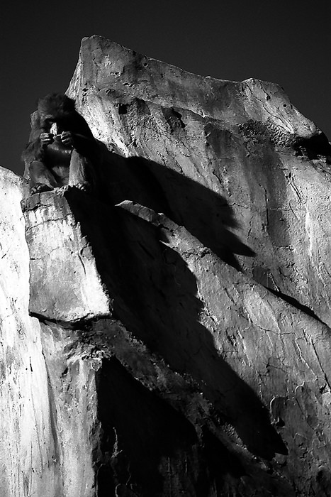 Monkey on top of rock mountain