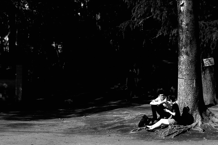 couple sitting at root of tree