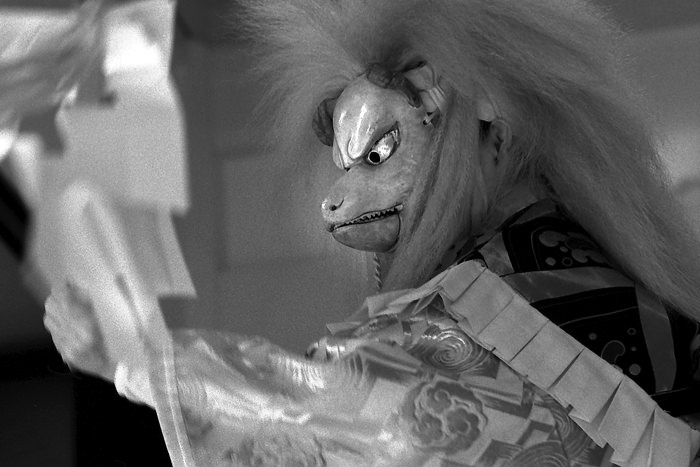 mask of fox