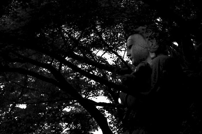 Buddha image in Takahata Fudo