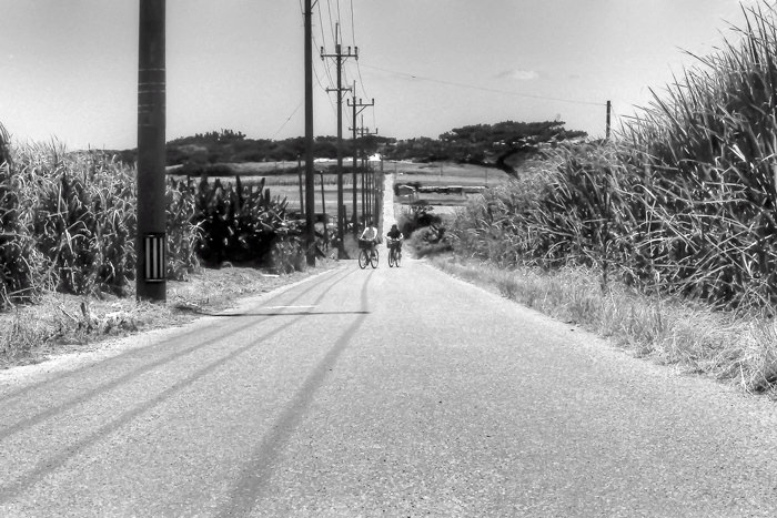 小 浜島 自転車