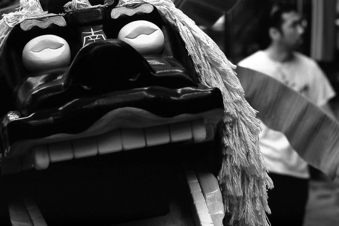 smiling mask of lion