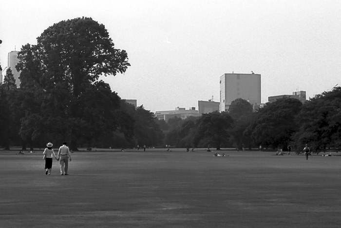 Couple walking on turf