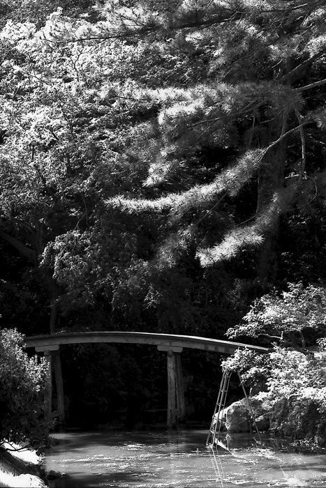 wooden bridge in Ritsurin park