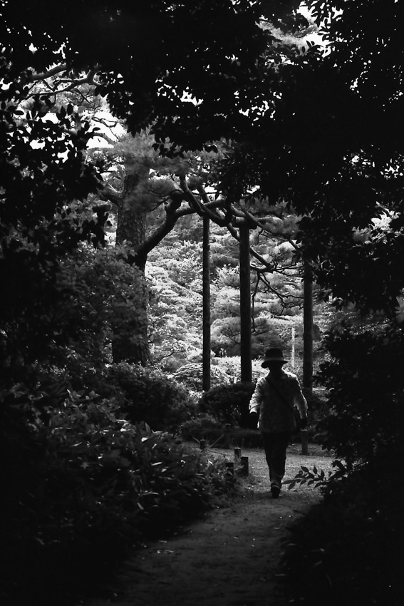 Silhouette walking in path