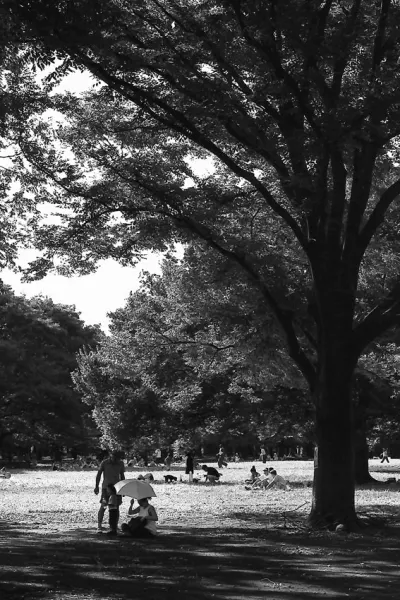 family sitting in the shade in Yoyogi park