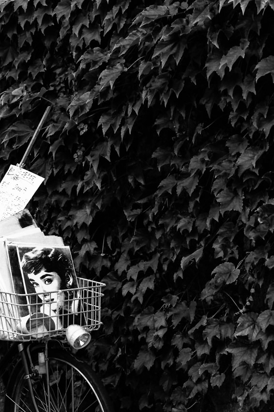 Audrey Hepburn in basket