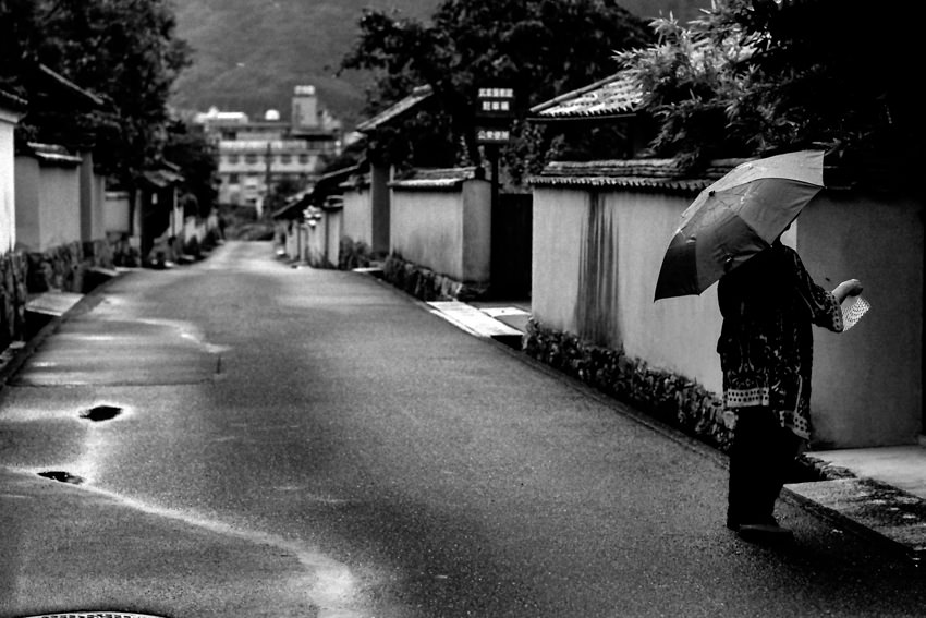 雨の降る道の傘