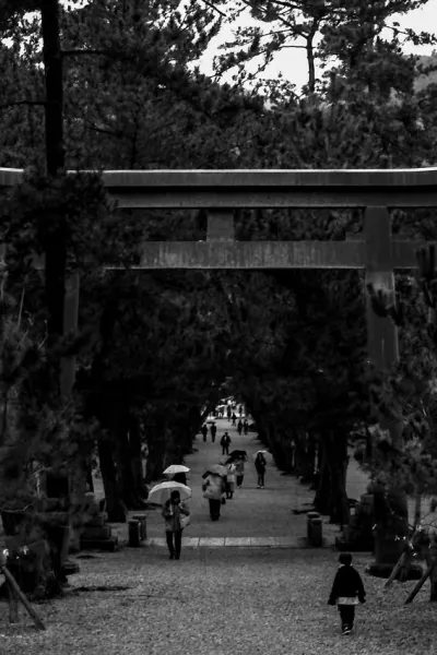 Torii standing in approach way