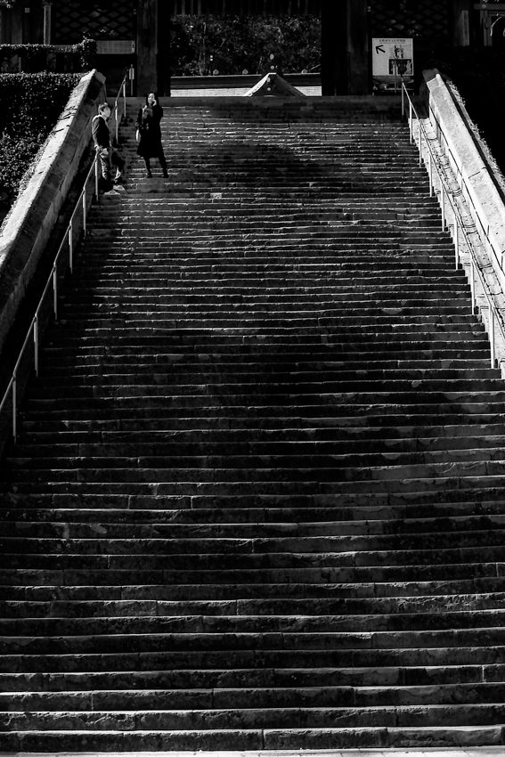 long stairway in Suwa Jinja