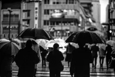 Many umbrellas in Hamanomachi