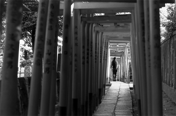 Woman walking through Torii