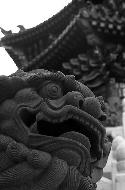 Guardian dog in Chinatown