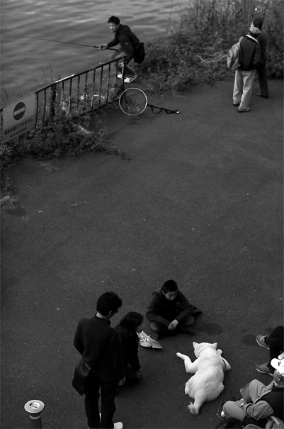 People surrounding dog