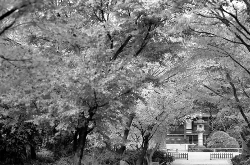 Stone lantern in Koen-Ji