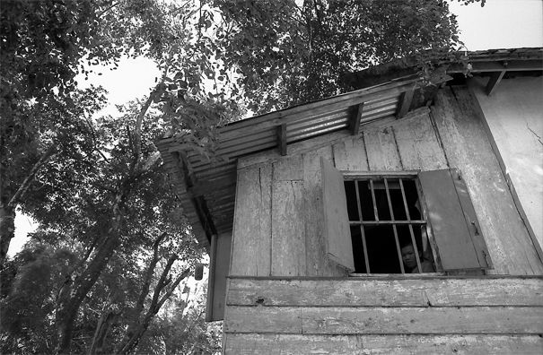 Window Of A Vihara (Laos)