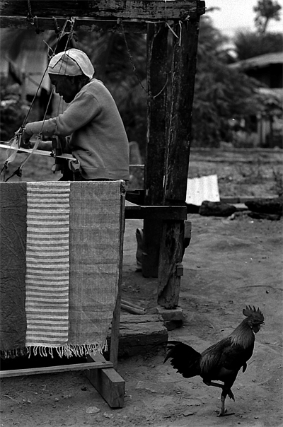 Hen And Weaver (Laos)