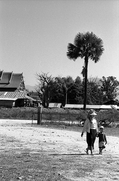 Palm Tree, Mother And Her Son (Laos)