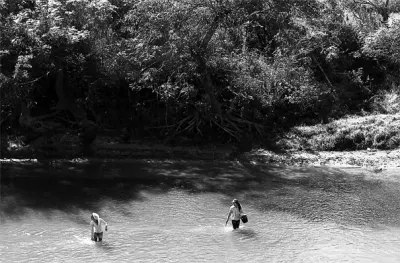 川の中で川苔を採る女の子