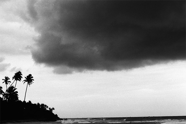 Cloud And Palm Tree (Sri Lanka)