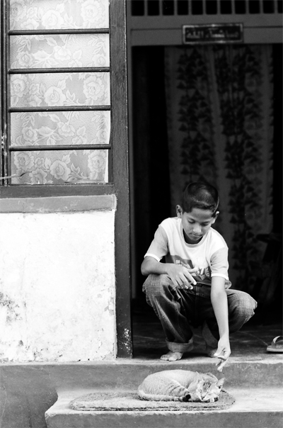 Boy Meddling With A Cat (Sri Lanka)