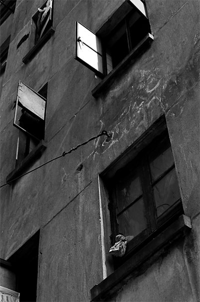 Windows of old building