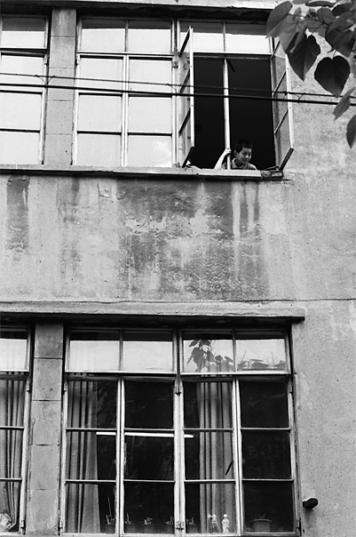 Boy leaning out of upstairs window