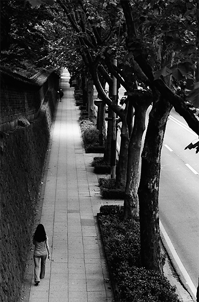 Walking The Avenue (South Korea)