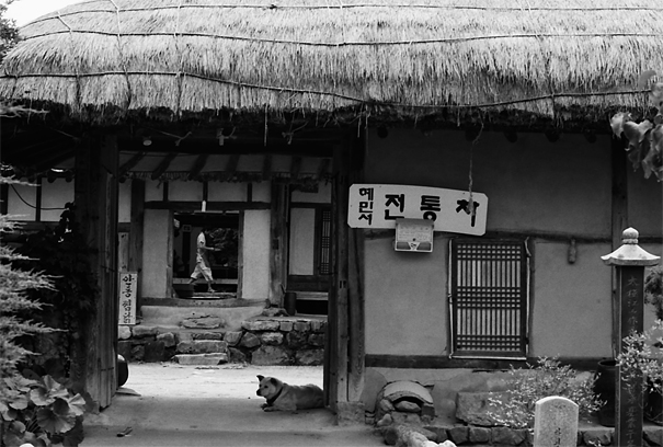 Dog At The Gate, Man In The House (South Korea)