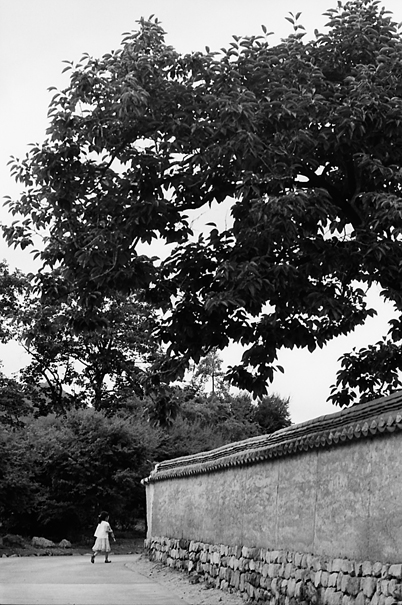 Little Girl At The End Of The Wall (South Korea)
