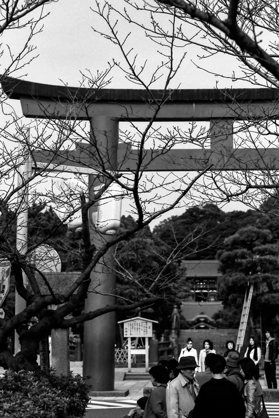 People in front of Torii