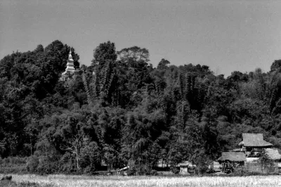 Stupa on leafy hill