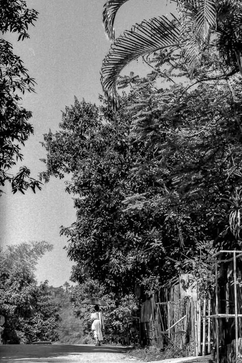 Buddhist monk walking with sunshade