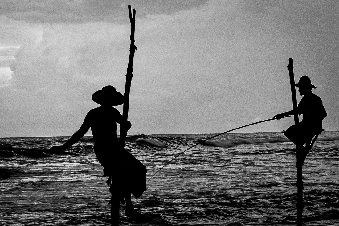 Men doing stilt fishing