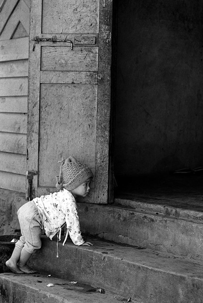 Baby Looking For Its Mother (Laos)