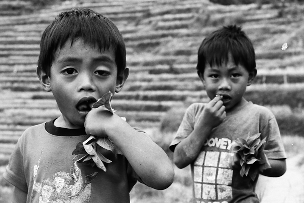 Bite It! (Philippines)