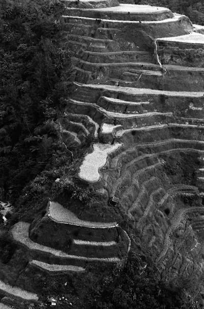 Rice paddies on steep slope