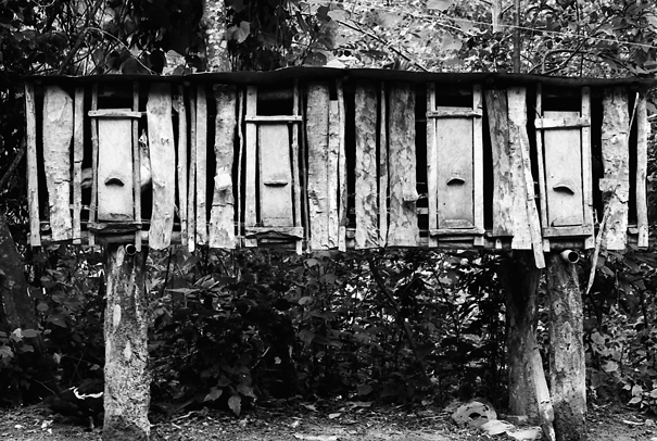 Hen House In The Village (Philippines)