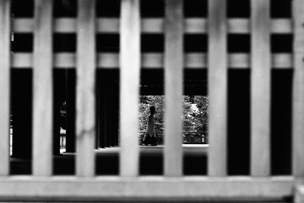 Figure At The Other Side Of A Wooden Fence (Tokyo)